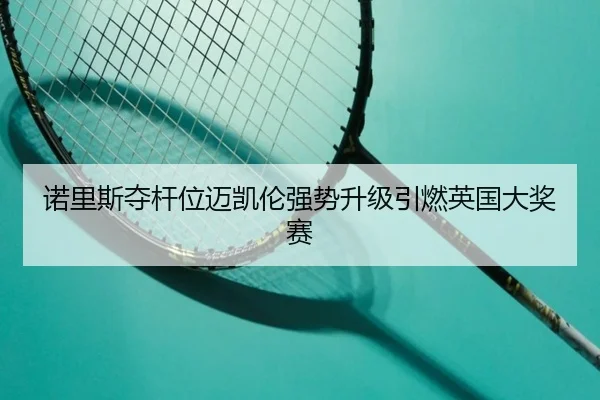 诺里斯夺杆位迈凯伦强势升级引燃英国大奖赛