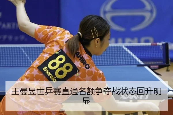 wang-man-yu-shi-ping-sai-zhi-tong-ming-e-zheng-duo-zhan-zhuang-tai-hui-sheng-ming-xian-3-924.jpg