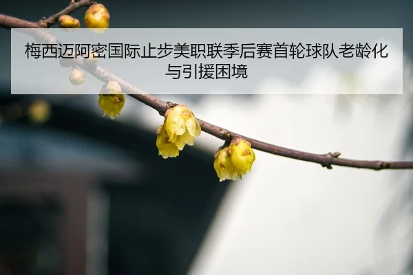 mei-xi-mai-a-mi-guo-ji-zhi-bu-mei-zhi-lian-ji-hou-sai-shou-lun-qiu-dui-lao-ling-hua-yu-yin-yuan-kun-jing-3-252.jpg