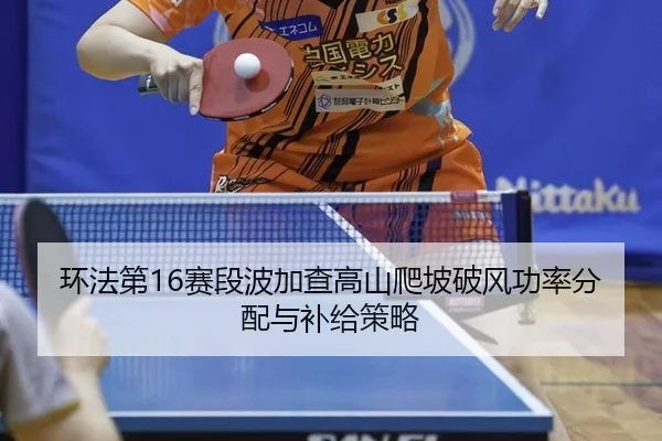 huan-fa-di-sai-duan-bo-jia-cha-gao-shan-pa-po-po-feng-gong-lv-fen-pei-yu-bu-ji-ce-lve-3-750.jpg